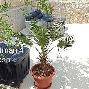  Apartman Zeljka